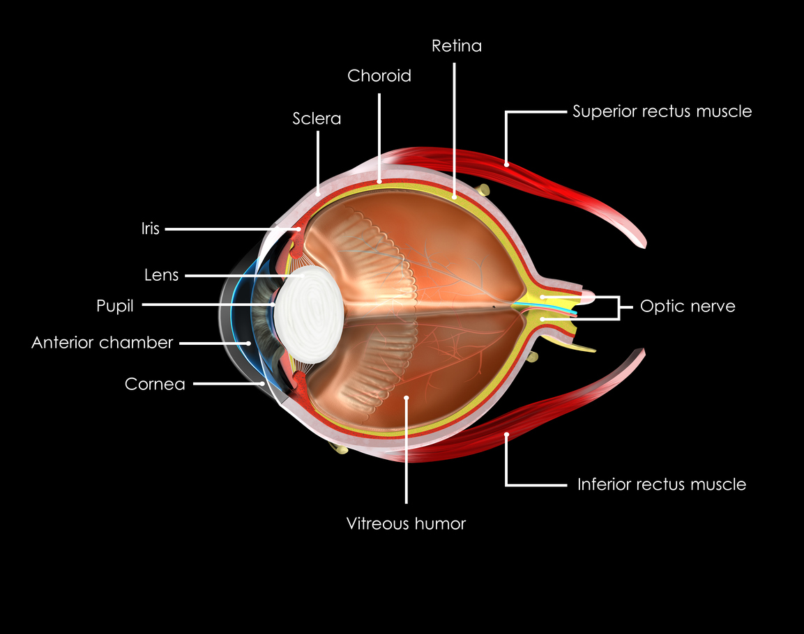 ocular pain bilateral icd 10