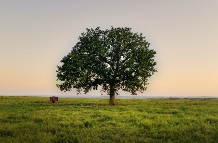 cómo se ve sin miopía