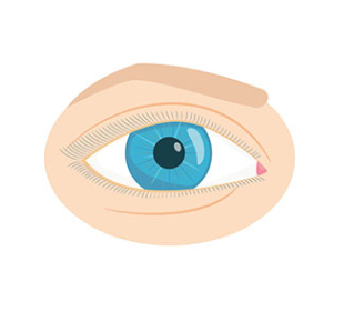 ojo normal sin ectropión