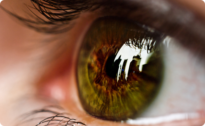 primer plano ojo verde de perfil