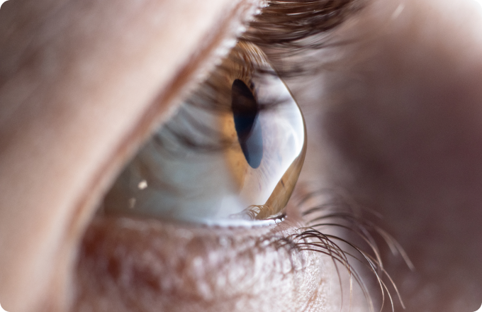 primer plano ojo marrón con pestañas largas