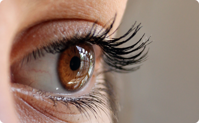 primer plano ojo marrón de mujer de perfil