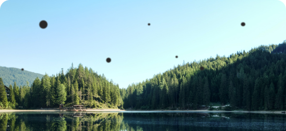 síntomas de las moscas volantes