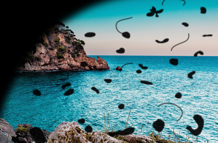 cómo se ve con miopía