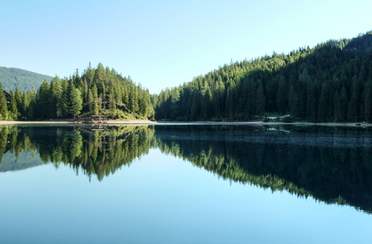 cómo se ve sin miopía