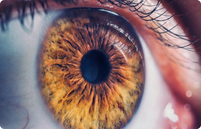 ojo con iris marrón