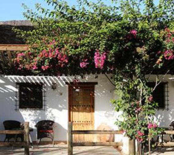 Plan Amigo de Clínica Baviera. Hoteles Ardea Purpurea
